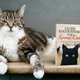 Image for article titled Our 20 favorite books of 2016